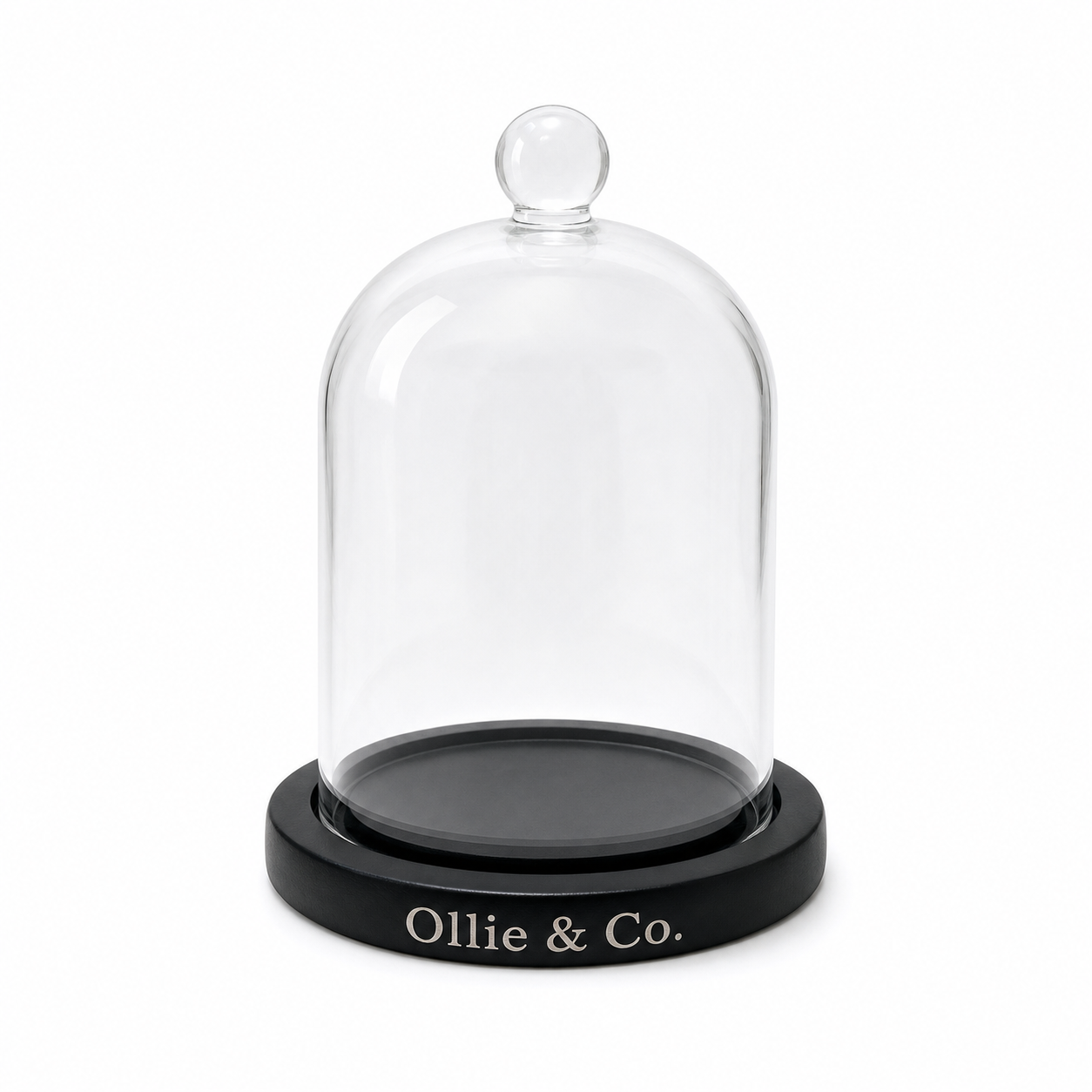 Glass Cloche by Ollie & Co.